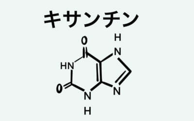 7ABE861A-6169-4B9F-B08F-7A2B11D155C9