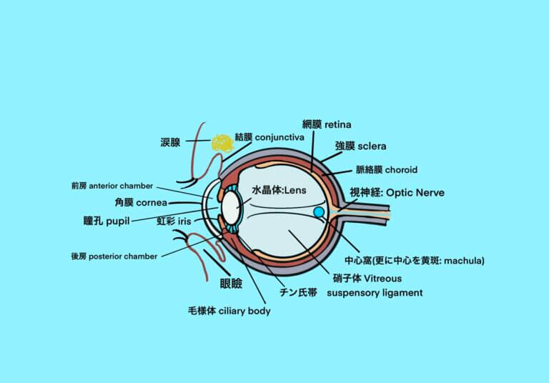 2EBC7D61 BE13 4F35 ABF8 E579B65C3DC2