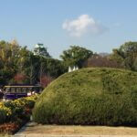 A83C8399 CD7D 4676 8D76 CFA02102E80A