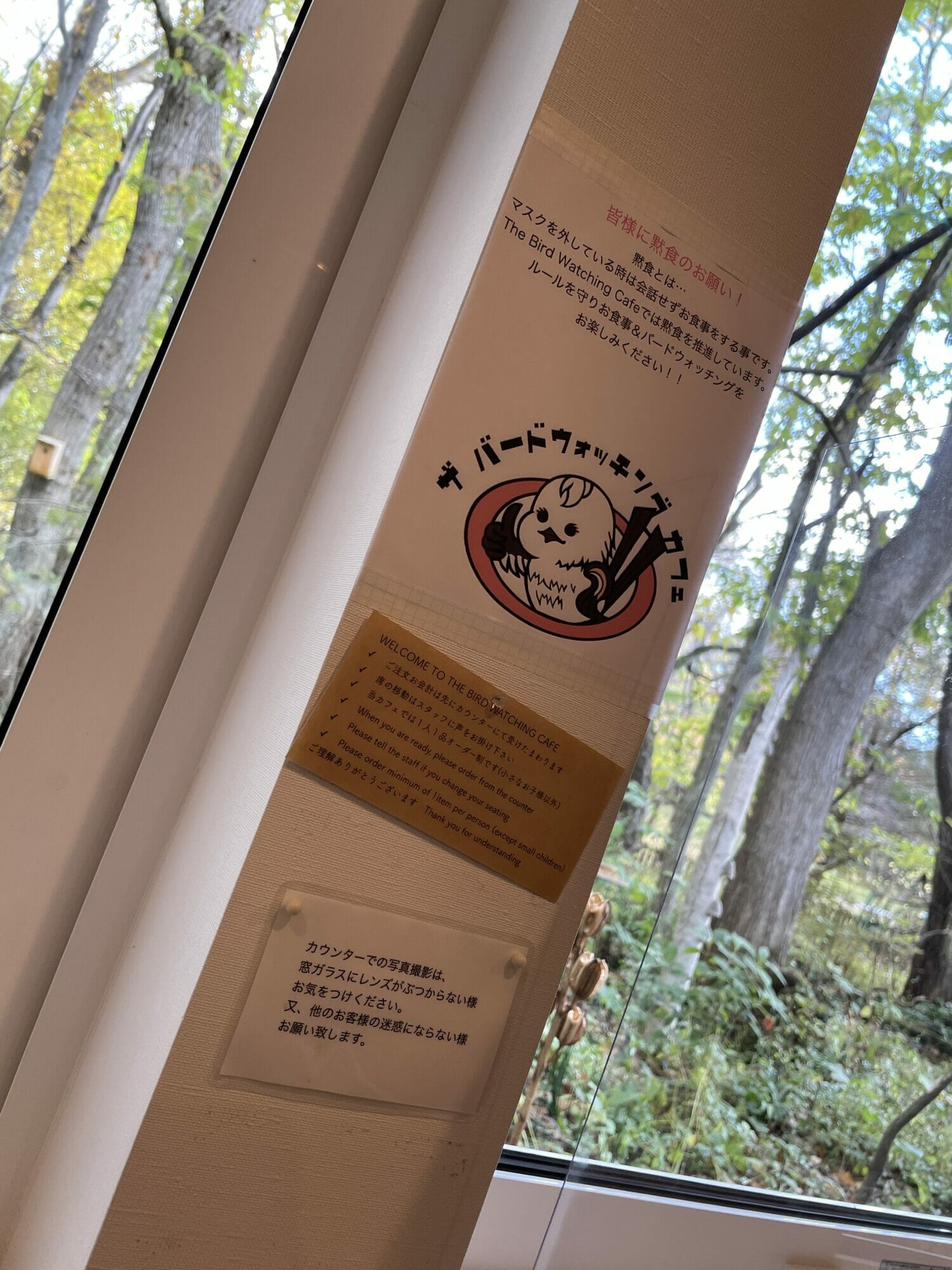 Bird watching cafe